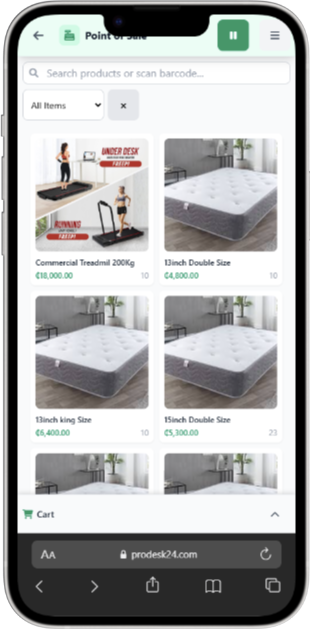 POS System Interface